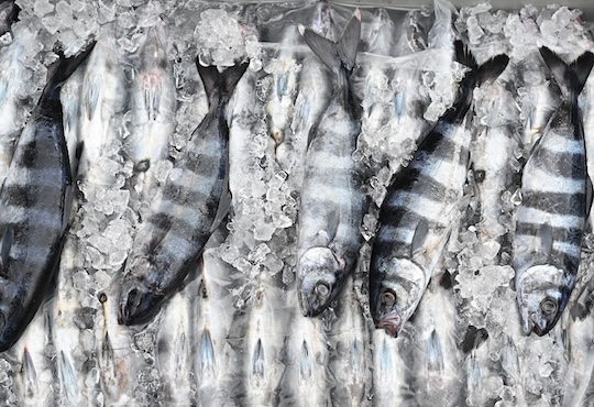 Gozo-fish-hawker.jpg